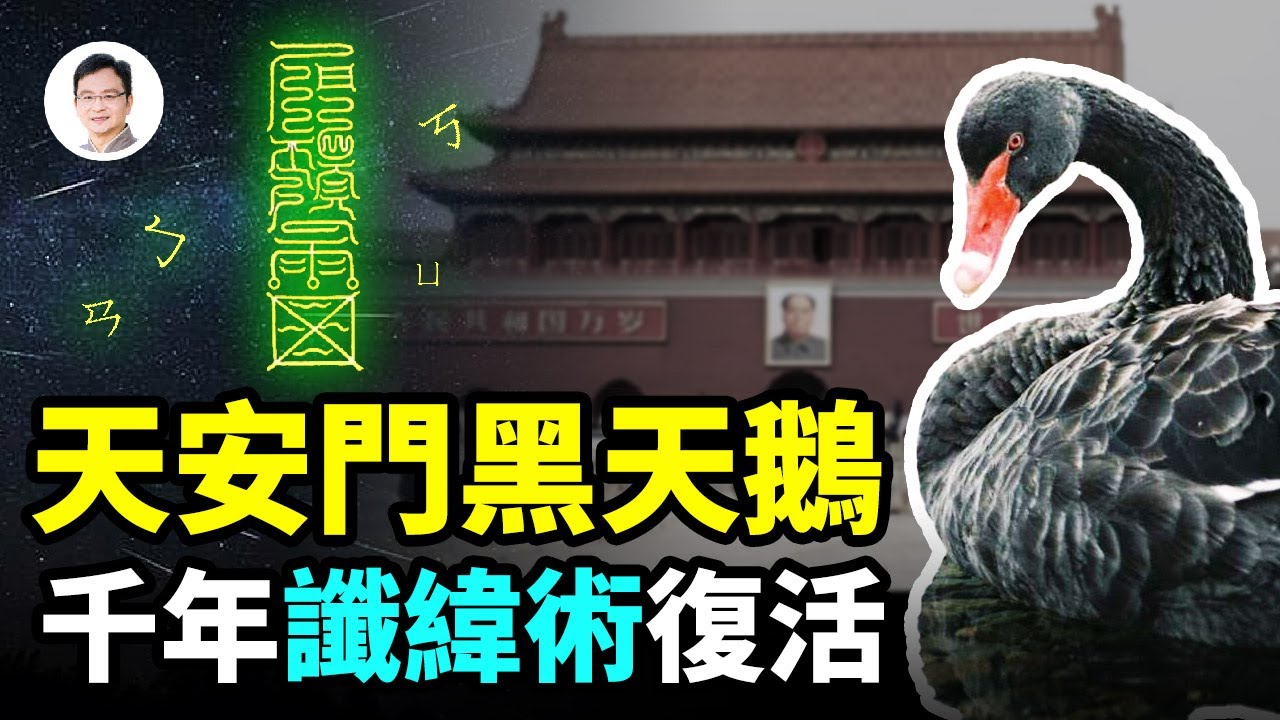 私密：[ID: yvT6qTM-Q-0] Youtube Automatic