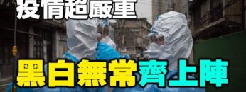 [ID: H4VmHce3R18] Youtube Automatic