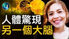 [ID: xOSZ0lH8vBg] Youtube Automatic