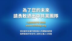 私密：[ID: AW6Rw7HlpdE] Youtube Automatic