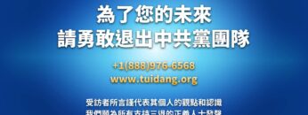 私密：[ID: AW6Rw7HlpdE] Youtube Automatic