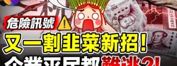 [ID: C9nd37rdJ1c] Youtube Automatic