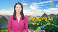 [ID: 7qAs7lcxp1Q] Youtube Automatic