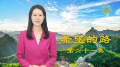 [ID: naYLibDl9hs] Youtube Automatic