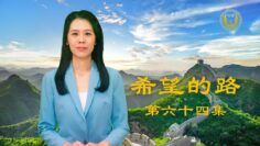 [ID: zUjCp5Wm8S0] Youtube Automatic