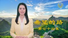 [ID: arhUhSxgXq0] Youtube Automatic