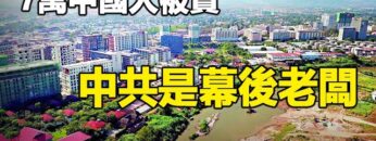 [ID: CiN-W6qrJBQ] Youtube Automatic