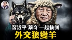 私密：[ID: daT7QlaitDE] Youtube Automatic