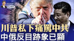 [ID: AF-1r9w2n0Q] Youtube Automatic