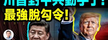 [ID: PRTNaAVonwQ] Youtube Automatic