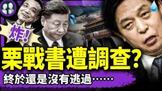 私密：[ID: DuBLSfD6xIk] Youtube Automatic