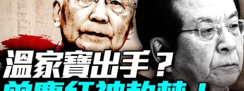 [ID: 2q1mkWdq910] Youtube Automatic