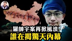 [ID: eFxcXvLIrdA] Youtube Automatic