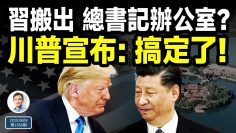 [ID: FwphsUlrFR8] Youtube Automatic