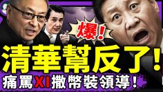 [ID: sF419Bb_y3U] Youtube Automatic