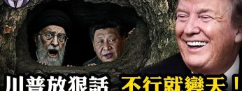 [ID: WNDC6goz3Hc] Youtube Automatic