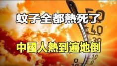 [ID: QlGhxLcPUmk] Youtube Automatic