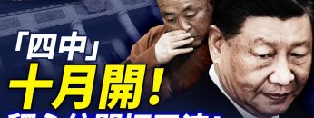 [ID: TdeksO8LV3Q] Youtube Automatic