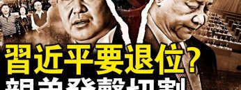 [ID: Yzl2lOu9LRc] Youtube Automatic