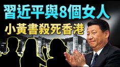 [ID: S_ttN5QxFns] Youtube Automatic