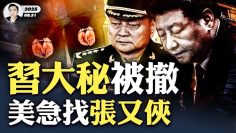 私密：[ID: xsNA6FVZIa4] Youtube Automatic