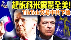 私密：[ID: 5u6xFP2mFlg] Youtube Automatic