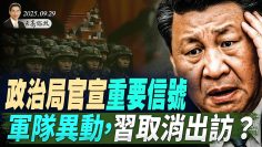 [ID: bSIc2sr0-O8] Youtube Automatic