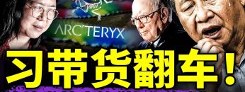 [ID: bVOHaBFm218] Youtube Automatic