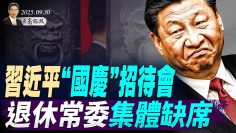 [ID: Dzz-7g-fD2E] Youtube Automatic