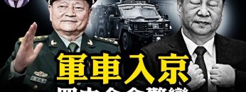 [ID: LT-0pRZVV5A] Youtube Automatic