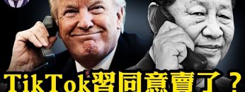 [ID: oQ9n3N3Em-o] Youtube Automatic