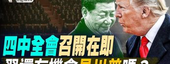 [ID: uJWkKHnSBRY] Youtube Automatic