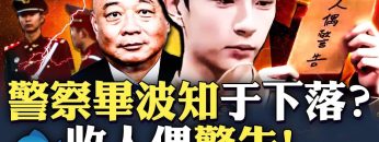 私密：[ID: 9MejE60Ib84] Youtube Automatic