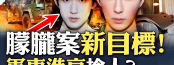 私密：[ID: OrCiV78Lmns] Youtube Automatic