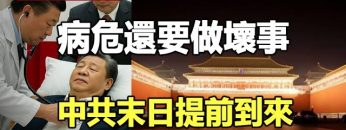 [ID: P2xRSRo2nBU] Youtube Automatic