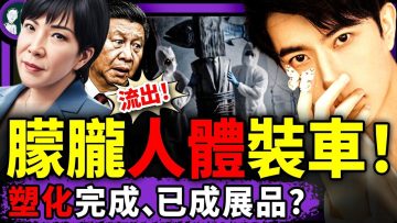 私密：[ID: 6MBu1M7EoRw] Youtube Automatic