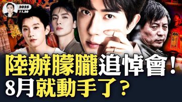 私密：[ID: tXC492-RA0k] Youtube Automatic