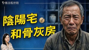 [ID: WFn6AzCbjAU] Youtube Automatic